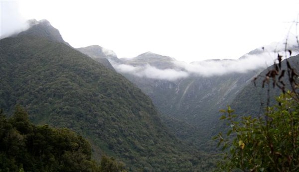 Mount Turiwhate Ecological Island from Wainihinihi 